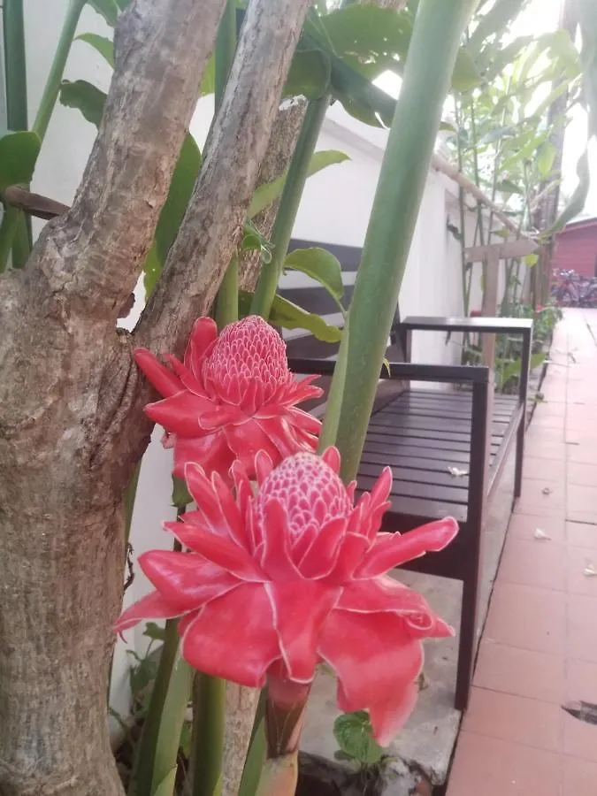 Hotel Alana Luang Prabang 4*,  Laos